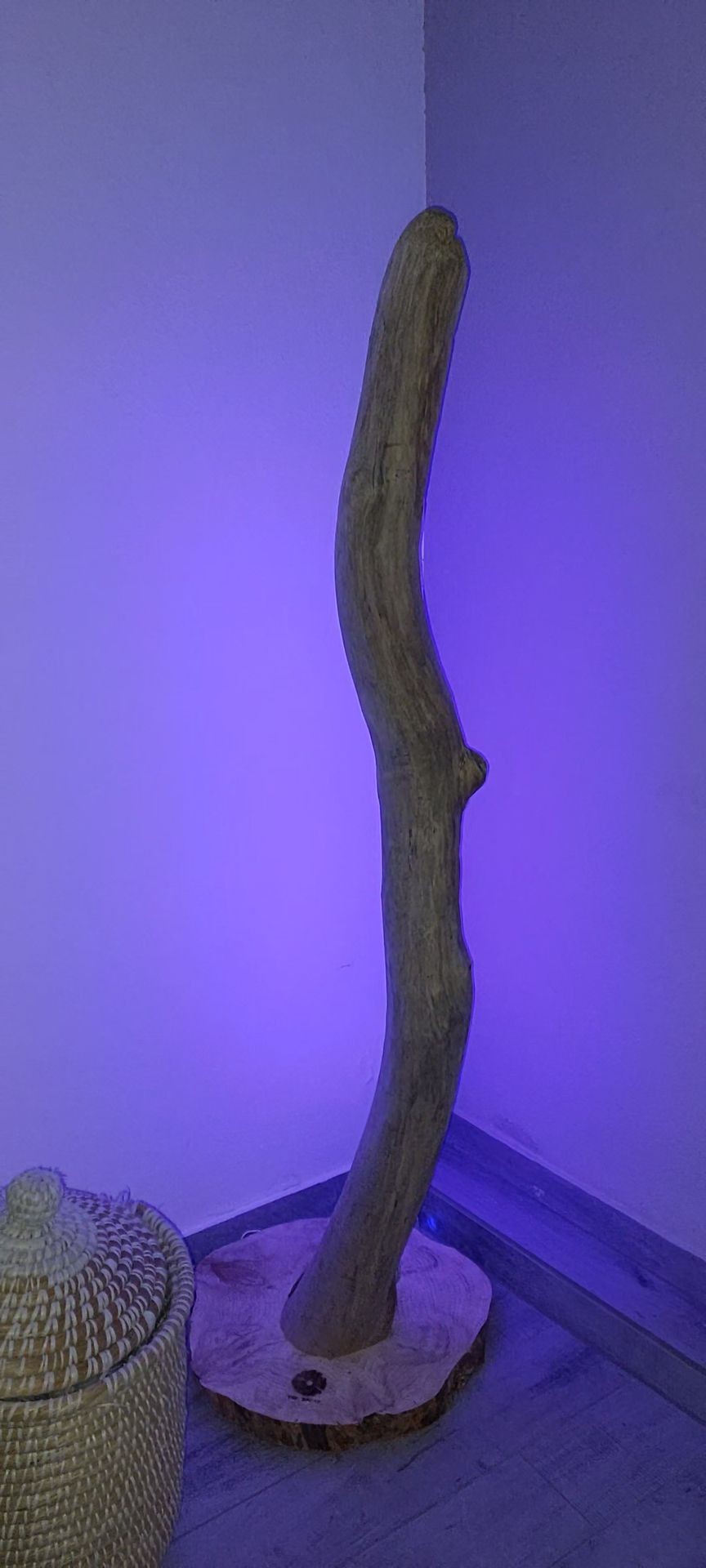 driftwood art, floor lamp, art, wood, the brand, lamp