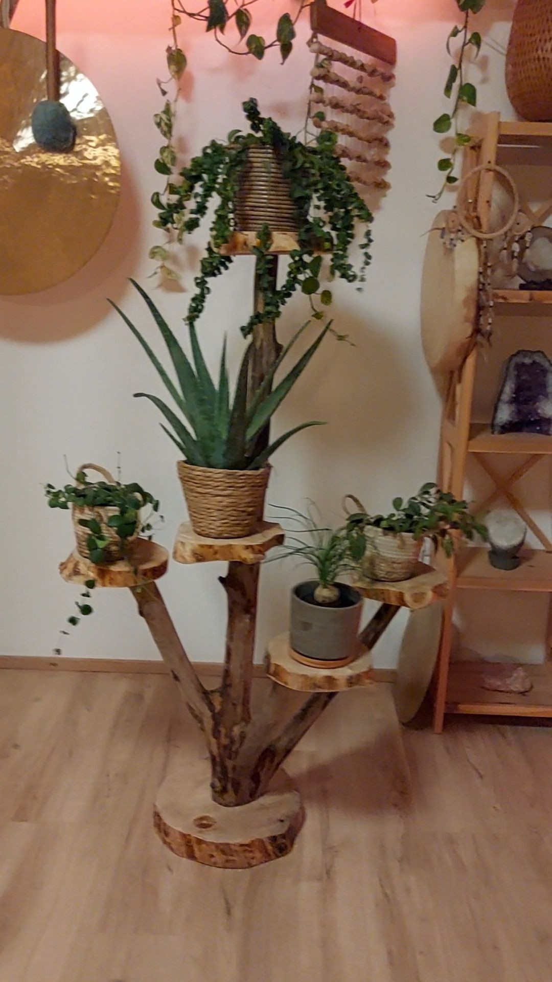 garden of eden, plant stand, pflanzenständer, driftwood, wood, art