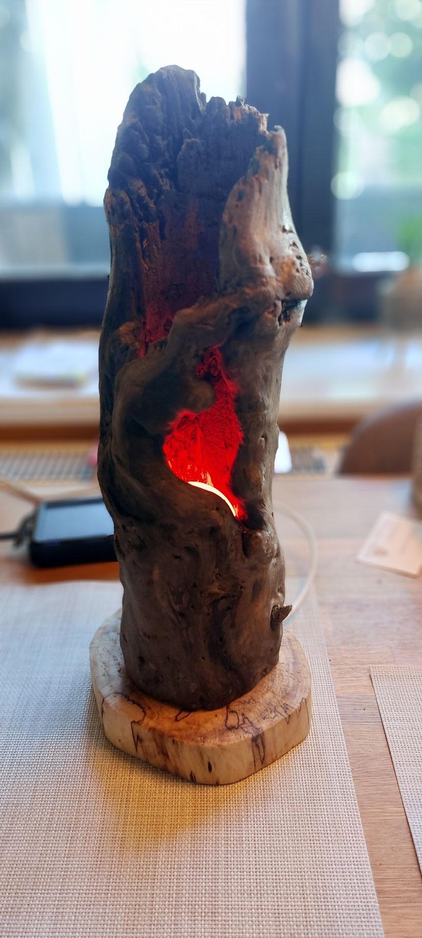 lamp, table lamp, art, wood, driftwood, the brand